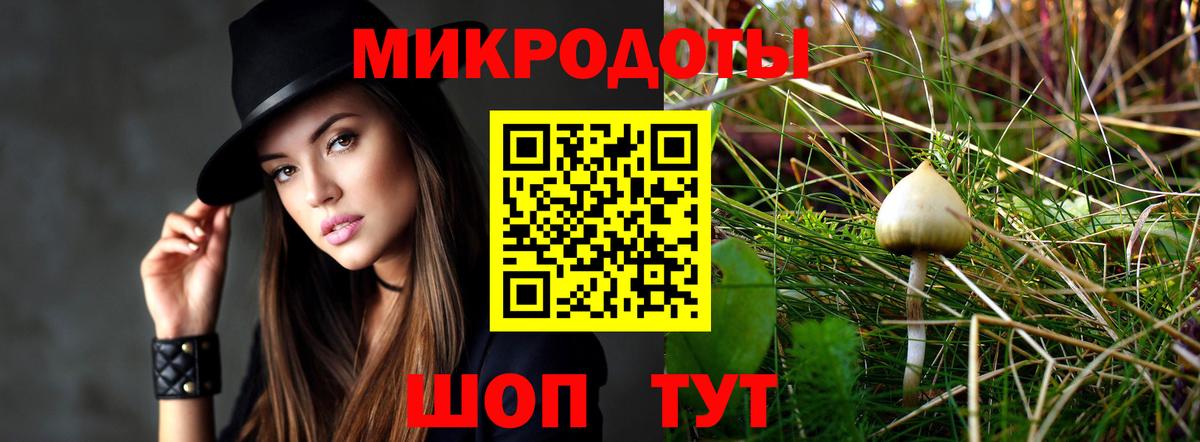 Галлюциногенные грибы GOLDEN TEACHER Будённовск