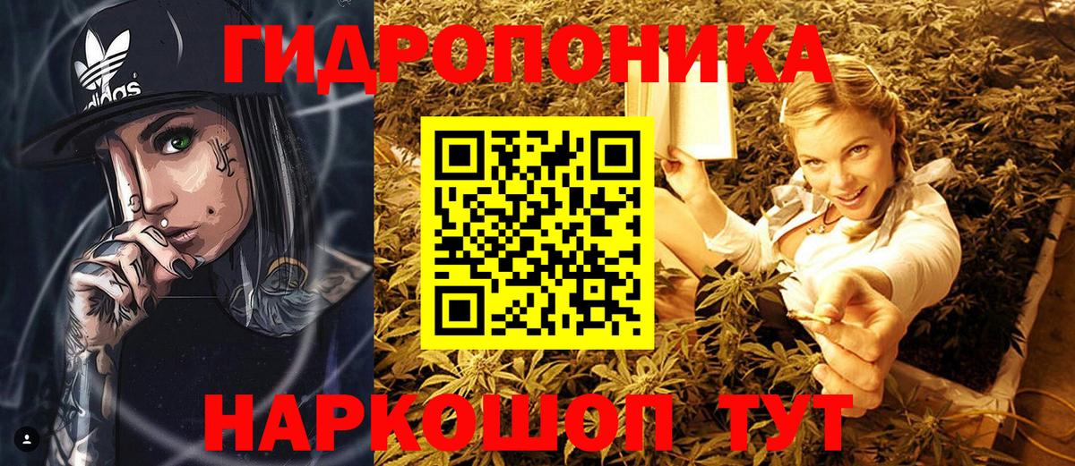 Конопля VHQ Будённовск